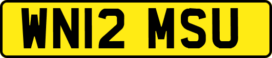 WN12MSU