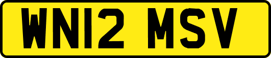 WN12MSV