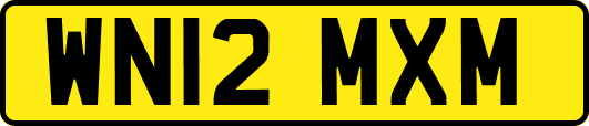 WN12MXM