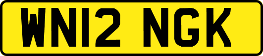 WN12NGK