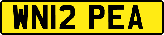WN12PEA