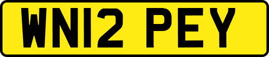 WN12PEY