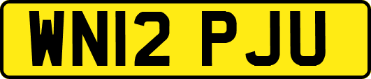 WN12PJU