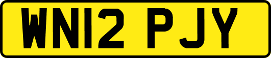 WN12PJY