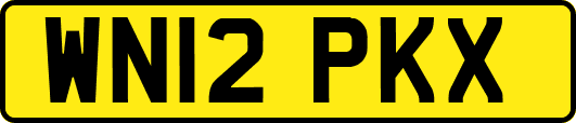 WN12PKX