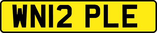 WN12PLE
