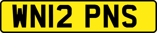 WN12PNS