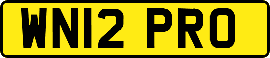 WN12PRO