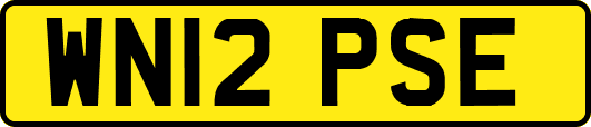 WN12PSE