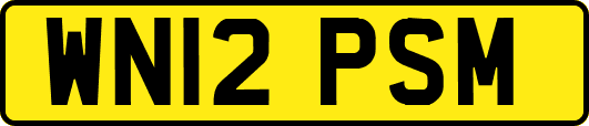 WN12PSM