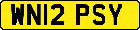 WN12PSY