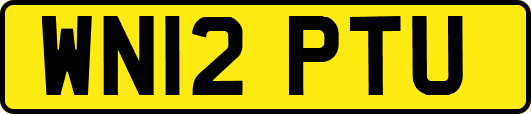 WN12PTU