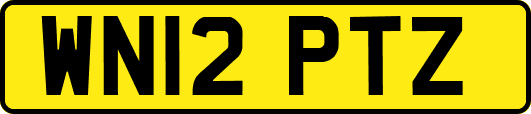 WN12PTZ