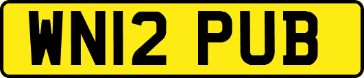 WN12PUB