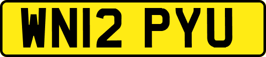 WN12PYU