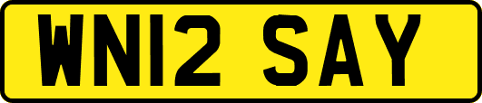 WN12SAY