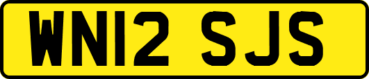 WN12SJS