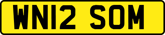 WN12SOM