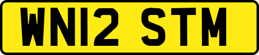 WN12STM
