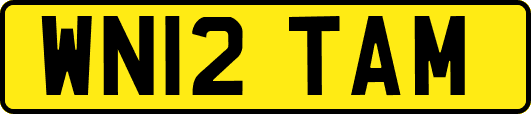 WN12TAM