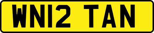 WN12TAN