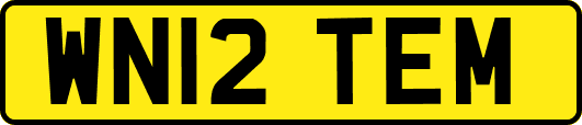 WN12TEM