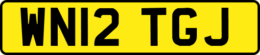 WN12TGJ