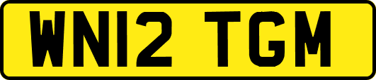 WN12TGM