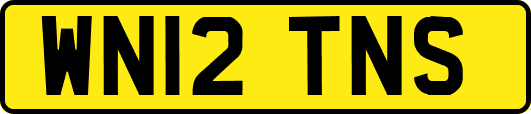WN12TNS