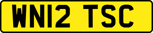 WN12TSC