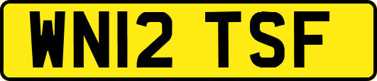 WN12TSF