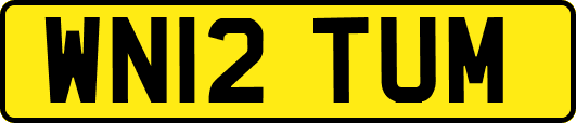 WN12TUM