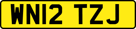 WN12TZJ