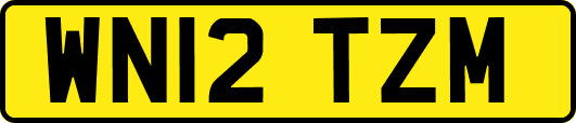 WN12TZM