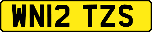 WN12TZS