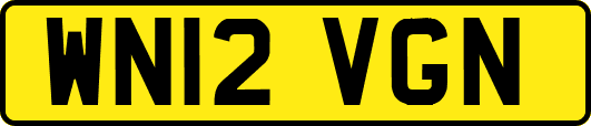 WN12VGN