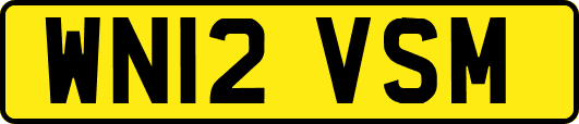 WN12VSM
