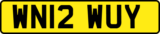 WN12WUY