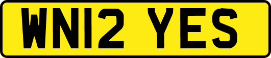 WN12YES