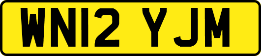 WN12YJM