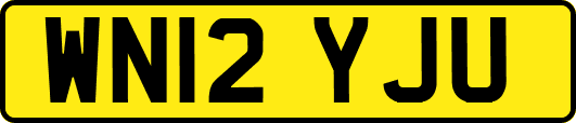 WN12YJU