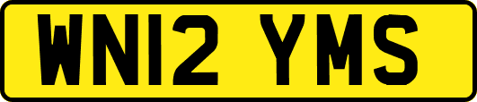 WN12YMS