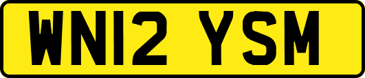 WN12YSM