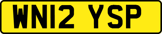 WN12YSP
