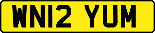 WN12YUM