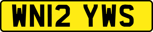 WN12YWS