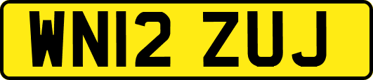WN12ZUJ