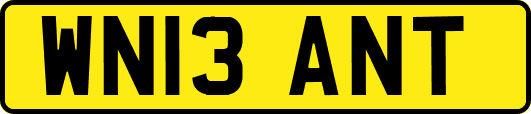 WN13ANT