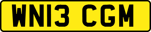 WN13CGM