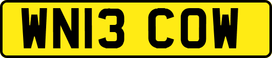 WN13COW